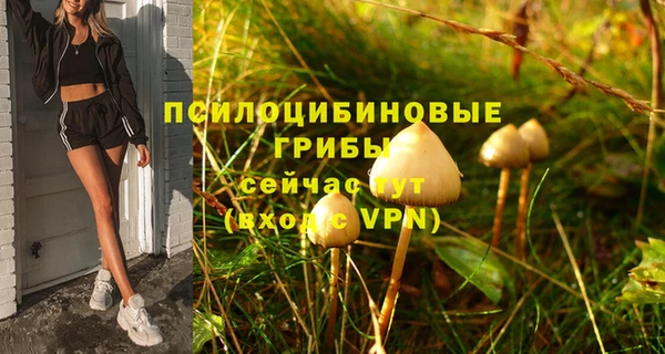 метадон Алзамай