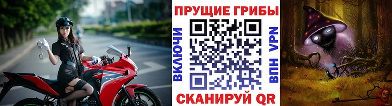 Псилоцибиновые грибы Cubensis  blacksprut tor  даркнет какой сайт  Киров 